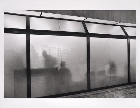 <b>Galeria Metrpole</b>