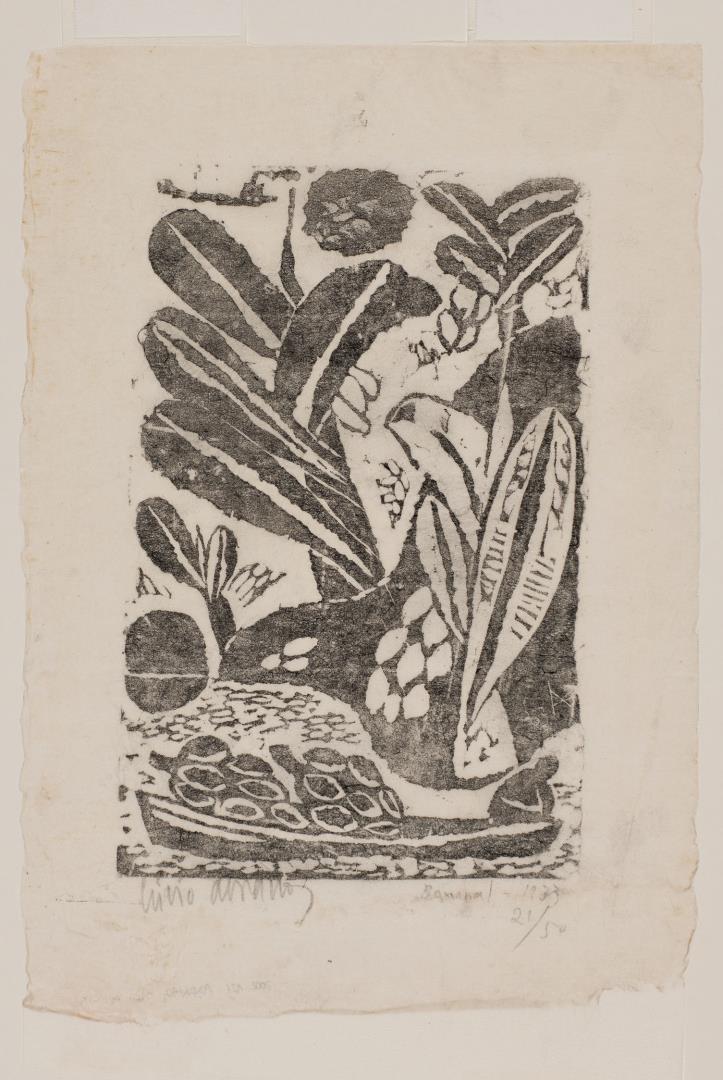  Cr�ditos: Foto: Est&uacute;dio 17