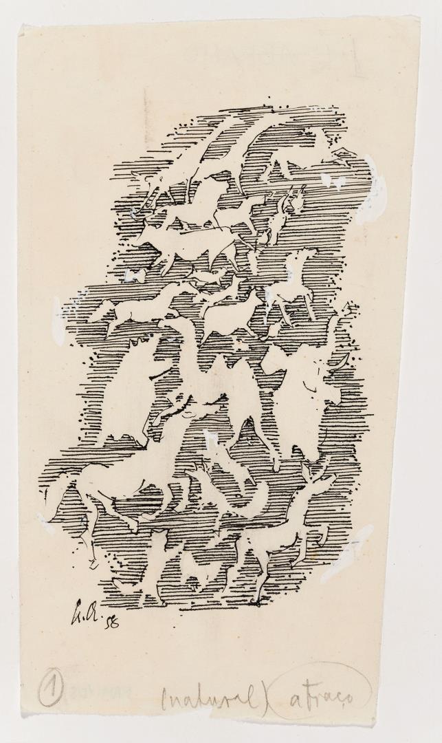  Cr�ditos: Foto: Est&uacute;dio 17