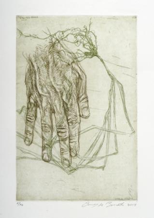 <b>P�ginas soltas de um livro [...]</b>