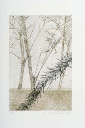 <b>P�ginas soltas de um livro [...]</b>