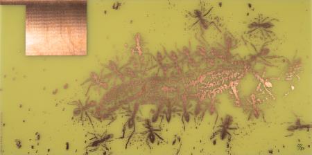 <b>Derrotas e vitrias (edio[...]</b>