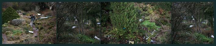  Cr�ditos: Foto: Marcelo Arruda