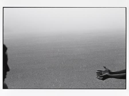 <b>Sem t�tulo (Rio Madeira, 20[...]</b>