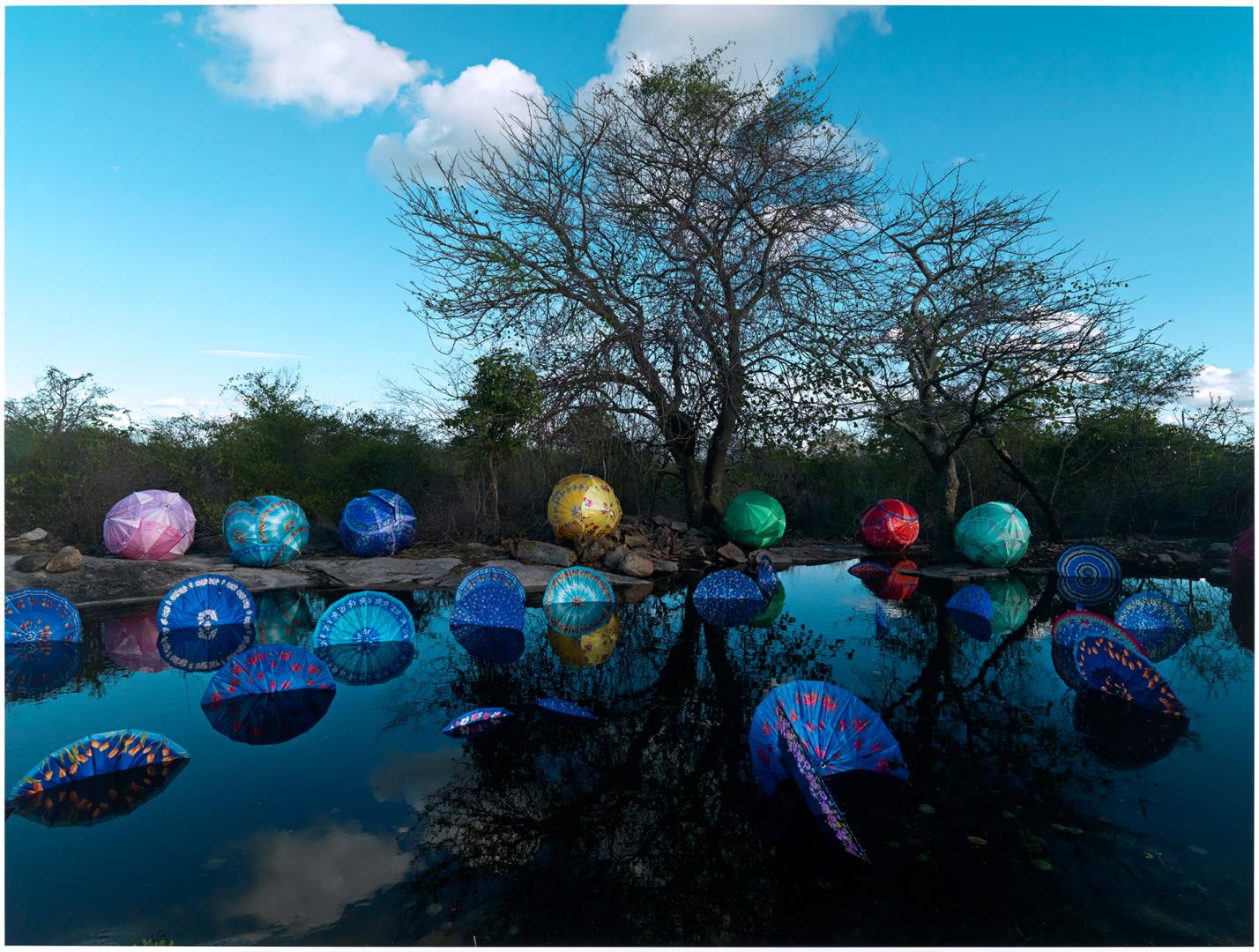  Cr�ditos: Foto: Est&uacute;dio 17