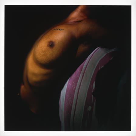 <b>Registro de criatura</b>