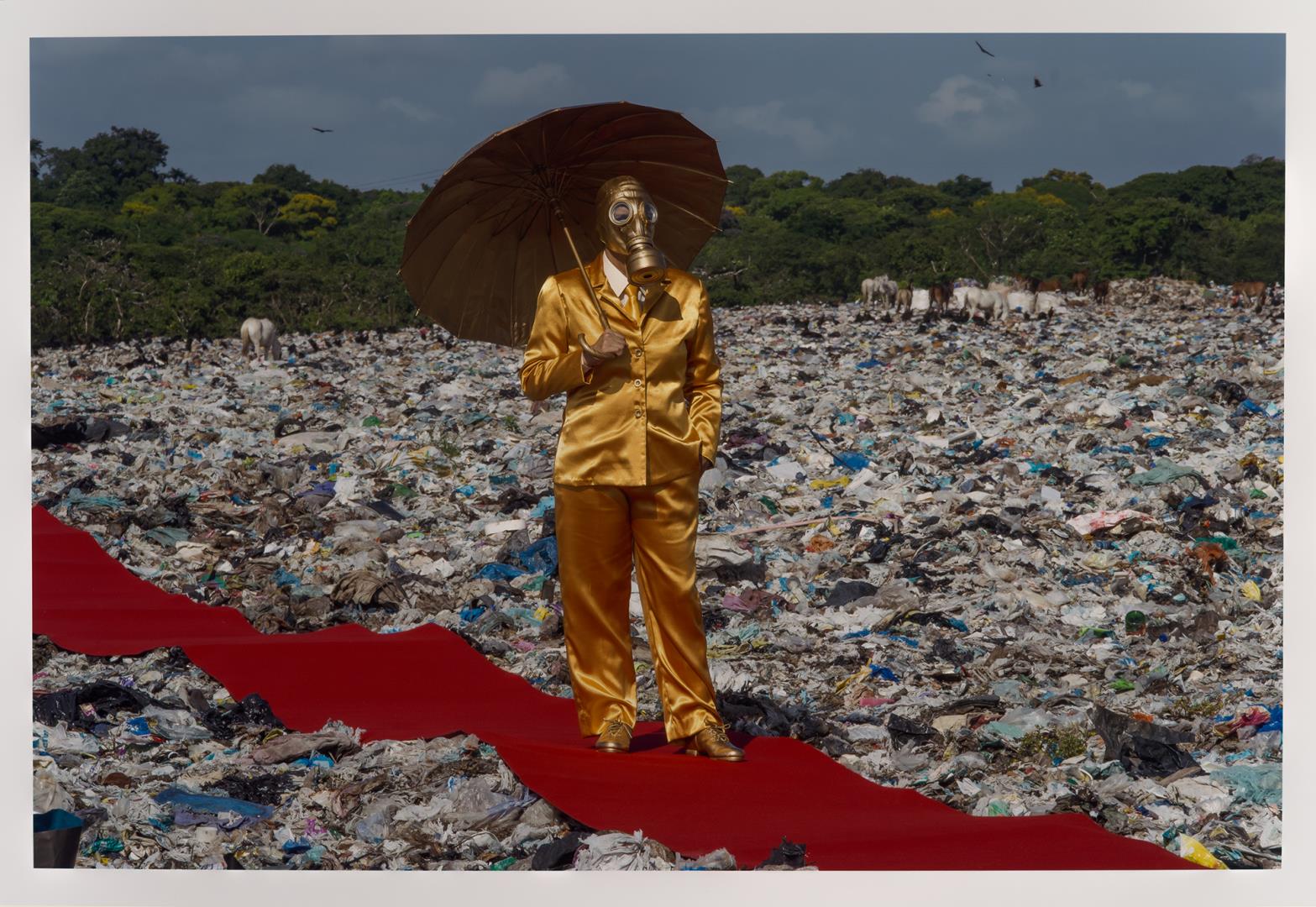  Cr�ditos: Foto: Est&uacute;dio 17