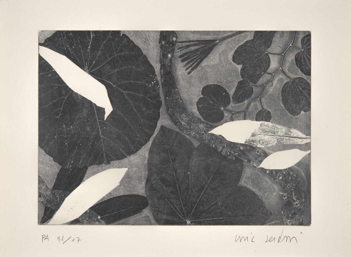  Cr�ditos: Foto: Est&uacute;dio 17