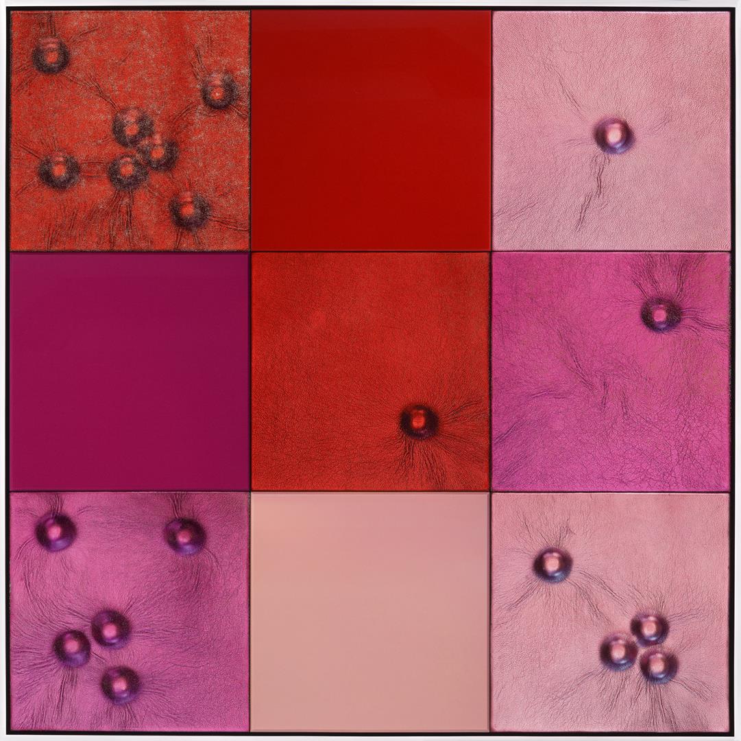  Cr�ditos: Foto: Est&uacute;dio 17