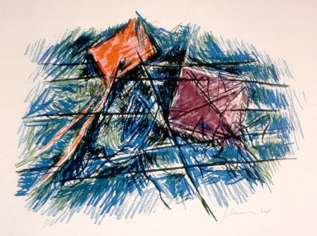 <b>Papagaios prisioneiros II</b>