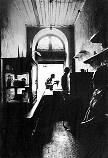  Cr�ditos: Foto: Romulo Fialdini