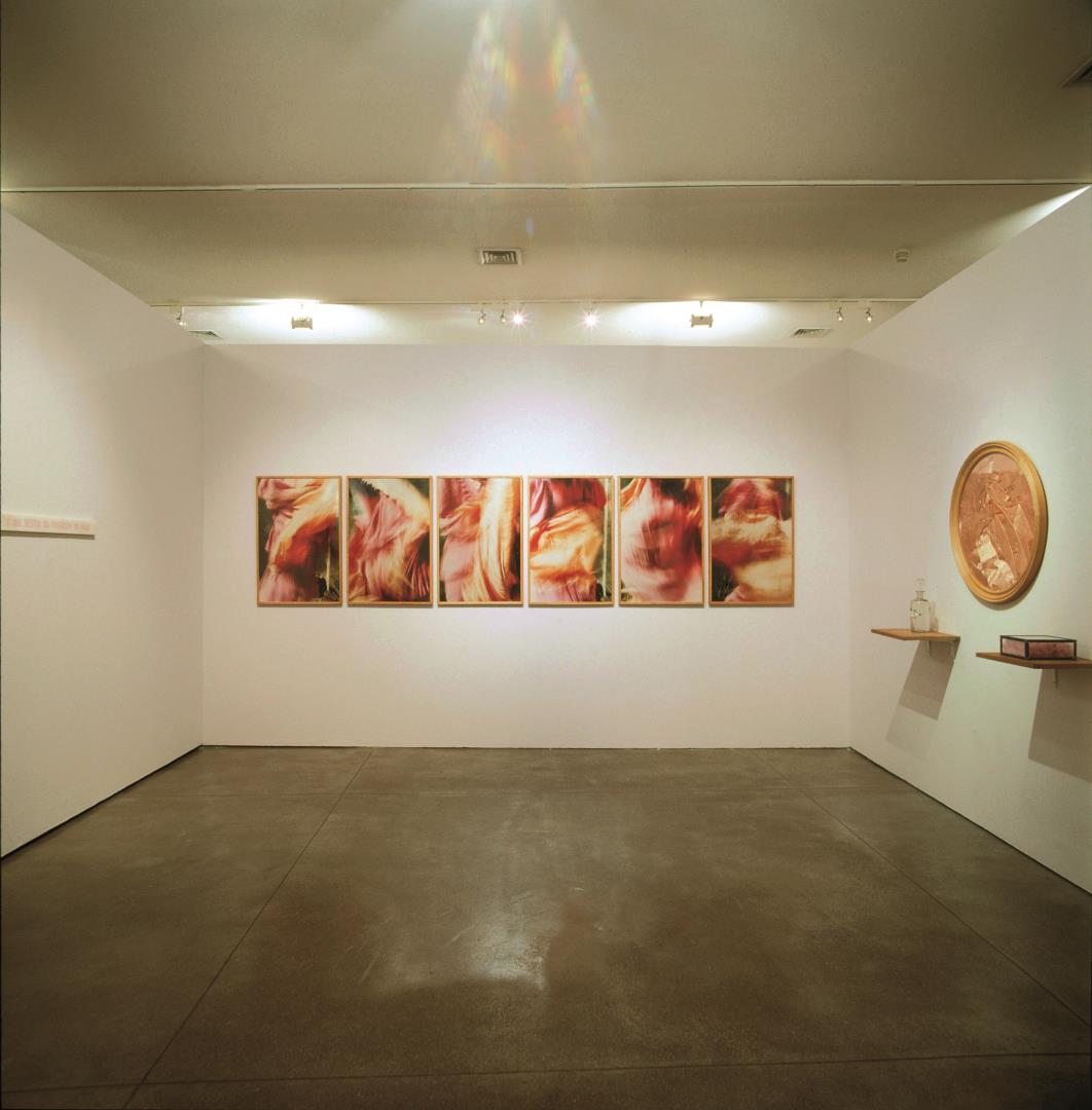  Cr�ditos: Foto: Romulo Fialdini