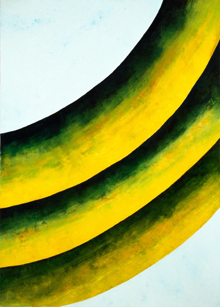  Cr�ditos: Foto: Romulo Fialdini