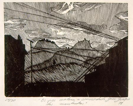 <b>Os fios cortam a sinuosidad[...]</b>