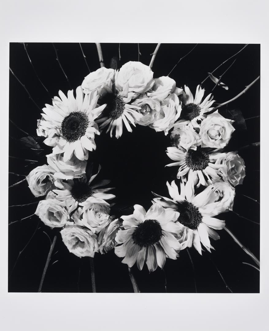  Cr�ditos: Foto: Est&uacute;dio 17